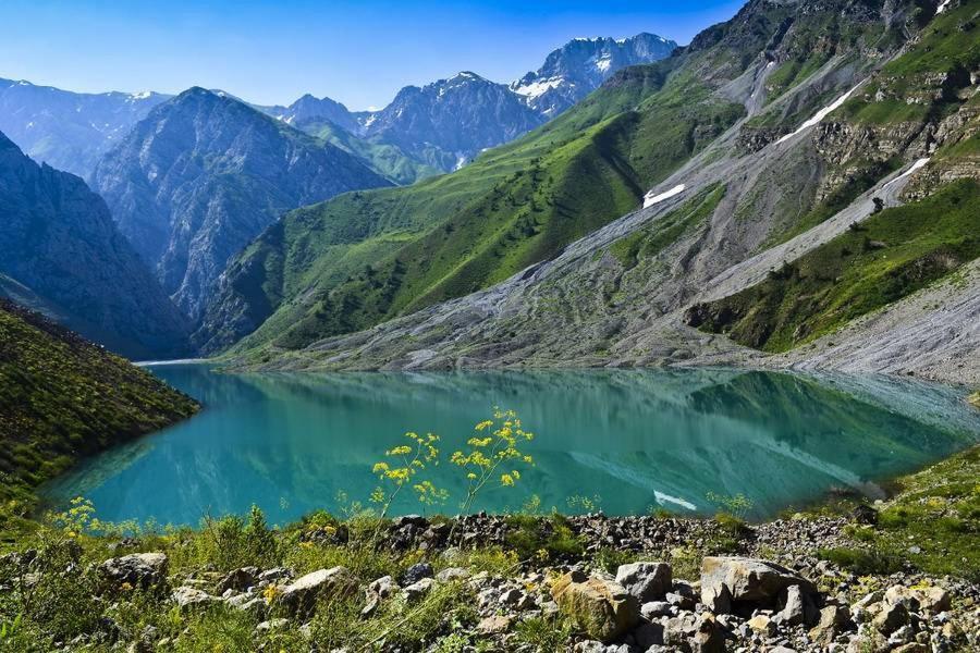 Зона Отдых Apachi В Горах Чимган Hotell Exteriör bild