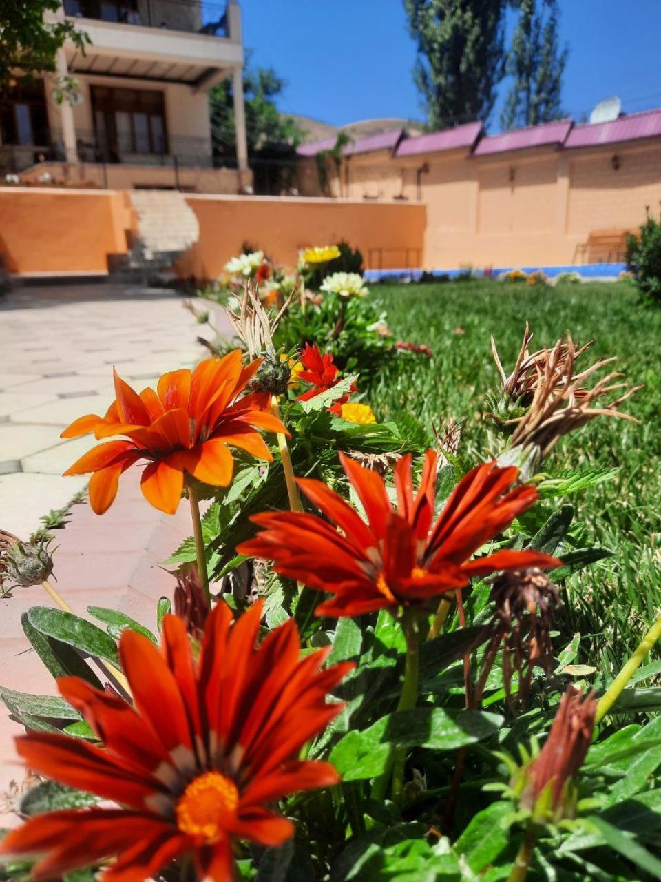 Зона Отдых Apachi В Горах Чимган Hotell Exteriör bild
